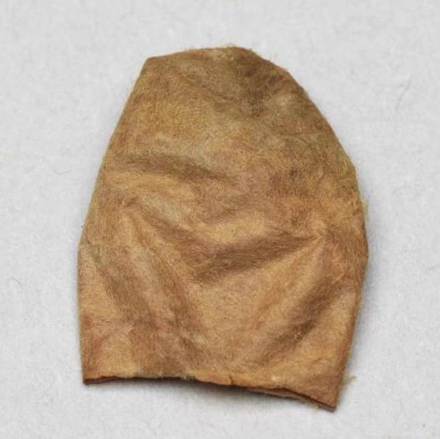 西阴半颗蚕茧（碳化）